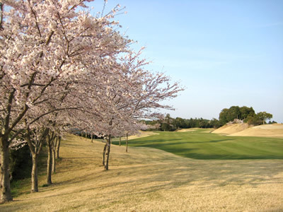 ランキング第7位はクチコミ数「424件」、評価「3.66」で「千葉桜の里ゴルフクラブ」