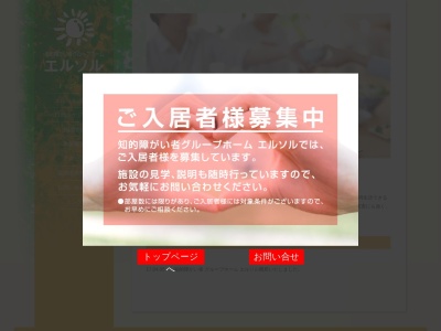 知的障がい者グループホーム エルソル(日本、〒326-0822栃木県足利市田中町796-1)