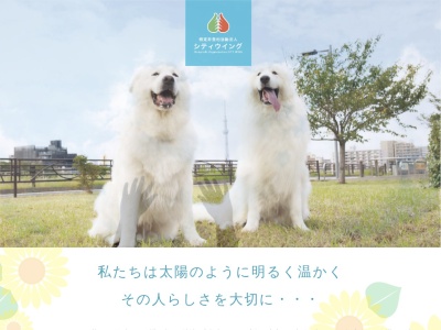 グループホームソレイユの華(日本、〒124-0003東京都葛飾区お花茶屋2丁目1−2)