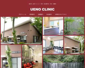 ランキング第6位は口コミ数「13件」、評価「4.9」で「UENO CLINIC」