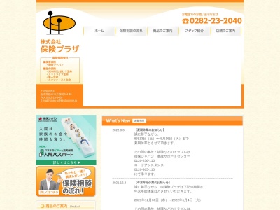 （株）保険プラザ(日本、〒328-0053栃木県栃木市片柳町５丁目４−４６)