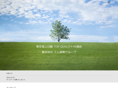（株）エム保険グループ(日本、〒373-0061 群馬県太田市鳥山上町１５２６−１)