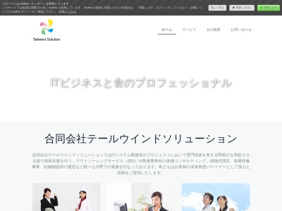 テールウインドソリューション(合同会社)(日本、〒146-0093 東京都大田区矢口2丁目1−24)
