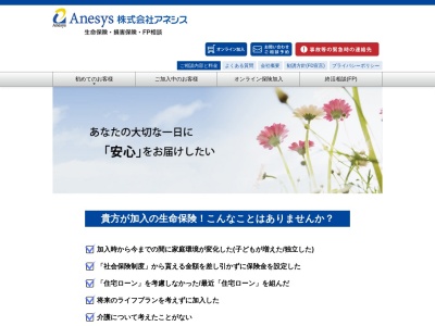 (株)アネシス(日本、〒501-0322 岐阜県瑞穂市古橋1247−1)
