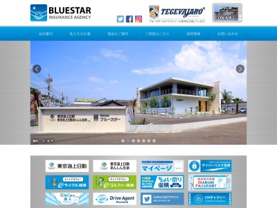 東京海上日動火災保険(株) 代理店 ブルースター(日本、〒880-0925 宮崎県宮崎市本郷北方2311−9)