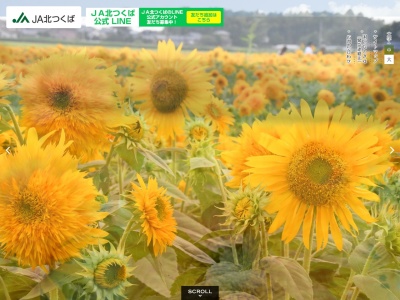JA北つくば 下館支店(日本、〒308-0051茨城県筑西市岡芹2222)