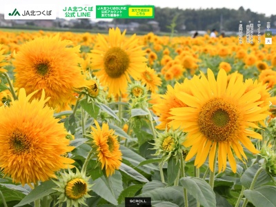 JA北つくば 協和営農経済課(日本、〒309-1111 茨城県筑西市上星谷359)