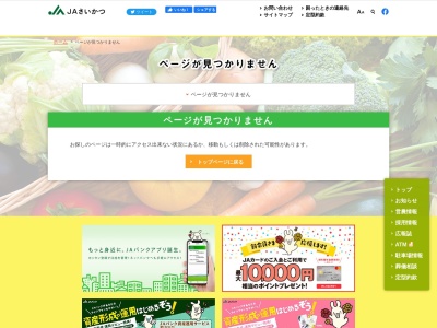JAさいかつフレッシュファーム産直部(日本、〒342-0041埼玉県吉川市保(大字)609−1)