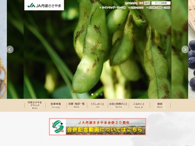 JA丹波ささやま 本店(日本、〒669-2212兵庫県篠山市大沢438−1)