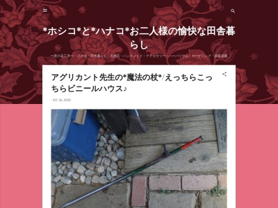 星の花工房(日本、〒408-0041山梨県北杜市小淵沢町上笹尾3331−604)