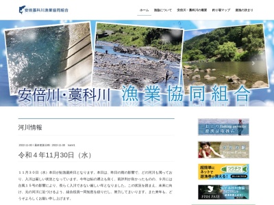 安倍藁科漁業組合静岡マス釣場のクチコミ・評判とホームページ