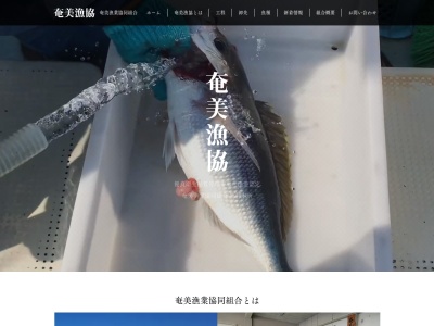 奄美漁業協同組合(鹿児島県奄美市笠利町大字外金久988)