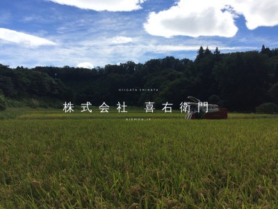 リストランテ喜右エ門(日本、〒992-0113山形県米沢市長手1668)