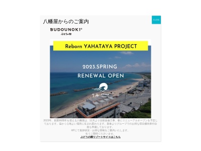 ランキング第2位はクチコミ数「0件」、評価「0.00」で「鮨屋台」