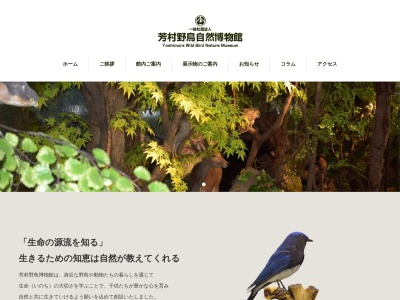 芳村野鳥自然博物館(日本、〒321-0165栃木県宇都宮市緑２丁目２２−１１)