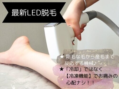 リシェ(Recher)(北海道札幌市北区北7条西5-6-1ストークマンション406号室)
