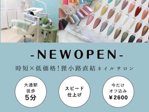 Nail Salon Grace【グレイス】(北海道札幌市中央区南3条西6-6-3-3 ジャラン狸小路703)