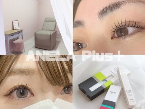 アネラプラス(ANELA Plus+)(北海道札幌市清田区里塚2条6-1-3 里塚ノースヴィレッジ2F4号室)