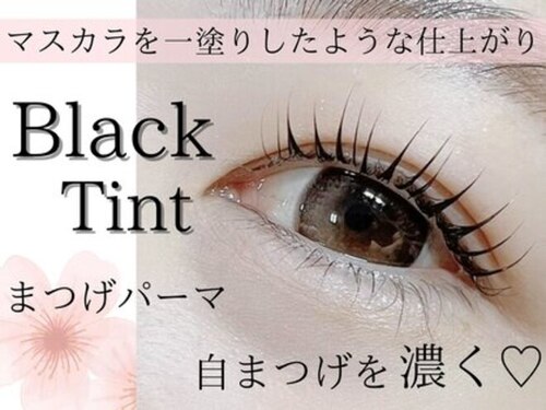 テテ(TeTe)(北海道札幌市中央区南1条西25-2-20 サルーテ円山公園 303号室)