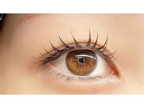 アパートメント(Appartement)(北海道札幌市中央区南3条西2-15-1 Nヴィコロビル3F)