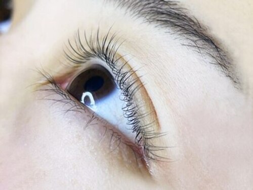 ビリン(美 Rin)(北海道札幌市豊平区平岸3条13-4-25サンホームMS No.12 205号室)