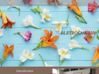 アルストロメリア(Alstroemeria)(埼玉県入間市下藤沢1-8-5エスペランザ市川102)