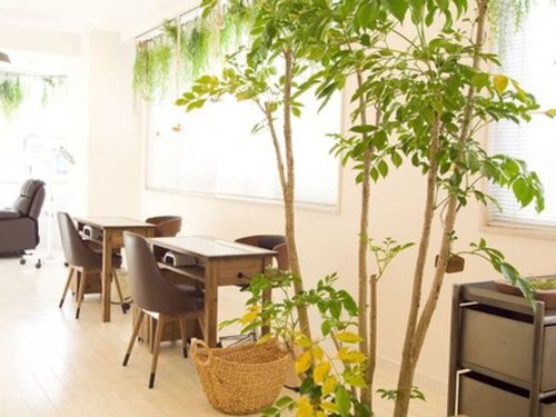 ネイルアンドアイラッシュ ラグナ サロン(Nail&Eyelash Laguna Salon)(千葉県市原市五井中央西2-14-3号プロント2F)