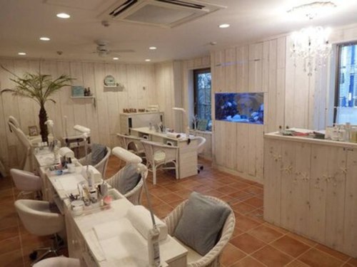 メリアネイル タウンリゾート(Melia Nail Town Resort)(神奈川県茅ヶ崎市元町4-25プレシャス1F)