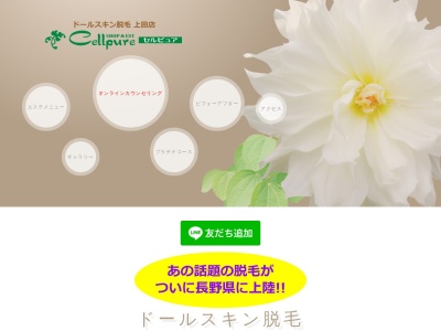 セルピュア(Cellpure)(長野県上田市中之条30-1)