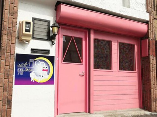 月猫(愛知県一宮市大志1-6‐22)