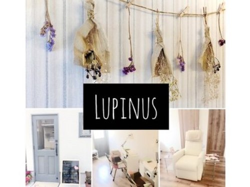 ネイルサロン ルピナス 今福店(NAIL SALON Lupinus)(大阪府大阪市城東区今福南4-15-3)