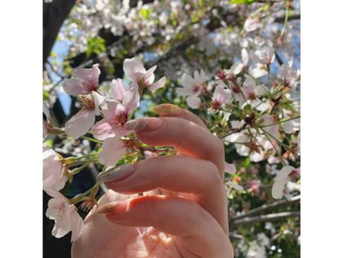 ネイルルーム トリニティ(Nail Room Trinity)(兵庫県芦屋市業平町3-12 s.iハイツ101)
