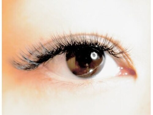 ハイラッシュ(HiLash)(奈良県高市郡高取町市尾999-8)