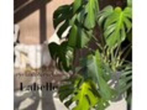 ラベール(La belle)(岡山県岡山市北区富田346-5 ツアンガーデンB 102)