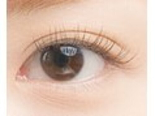 ラアンジュ(岡山県岡山市北区表町2-3-6 村上ビル302)