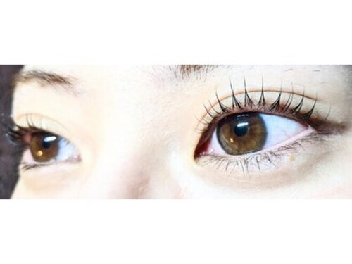 シャルーレ(Chaler)(岡山県岡山市北区蕃山町2-12ホーメストハイツ蕃山町210)