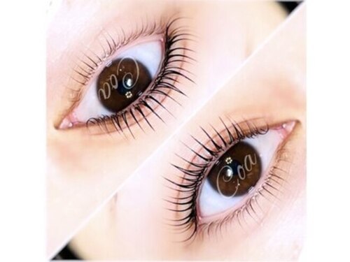 コア(Coa.)(広島県福山市春日町7-9-29)