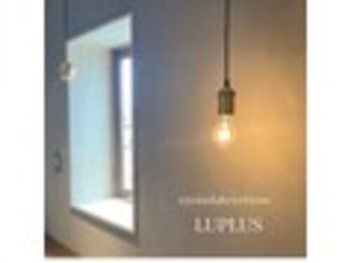 ルプラス(LUPLUS)(広島県福山市南蔵王町4-16-38)