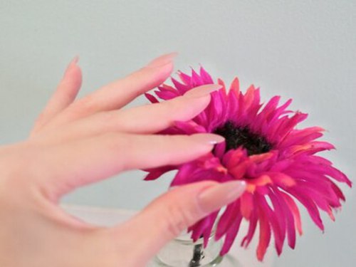 ナンバーナインネイル(No.9 nail)(愛媛県松山市清水町2-20-16 7colors Apartment 3b)