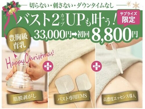 美人バスト福岡店(福岡県福岡市中央区警固1-4-26 ダイアパレス警固1001号室)