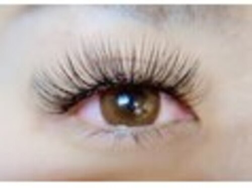 ミラク(熊本県熊本市東区健軍本町2-9 1F-2号室)