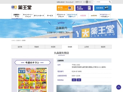 薬王堂 丸森舘矢間店(〒981-2102, 舘矢間舘山 丸森町 伊具郡 宮城県 981-2102 日本)