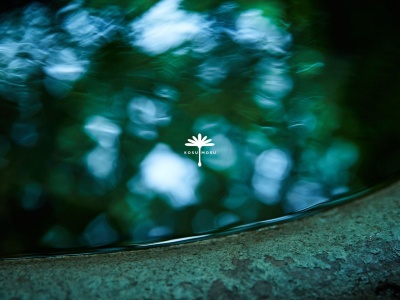 由布院 草庵秋桜(日本、〒879-5102大分県由布市湯布院町湯布院町川上1500)