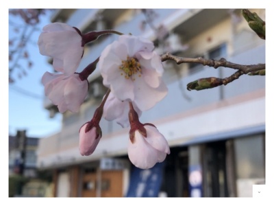 伊藤商店利府店のクチコミ・評判とホームページ