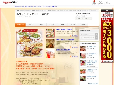 ビッグエコー坂戸店(埼玉県坂戸市泉町2-7-7)