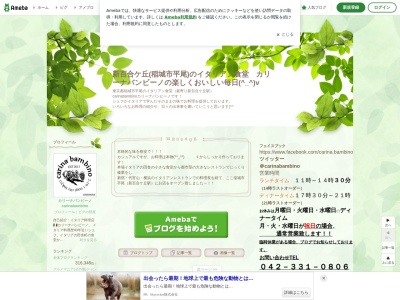 カリーナバンビーノ(日本、〒206-0823東京都稲城市平尾2−19−1第一SICビル2階)