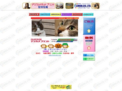 レモンコーポレーション(日本、〒353-0001埼玉県志木市上宗岡４丁目１−３５)