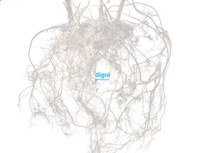 (株)DigniPhotography(日本、〒113-0034 東京都文京区湯島4丁目6−11)