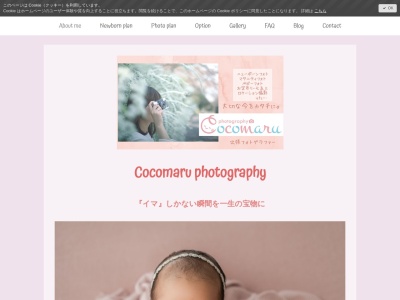 フォトスタジオ Cocomaru photography(日本、〒196-0002東京都昭島市拝島町1丁目17−7)