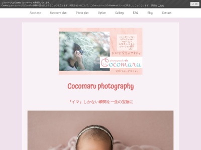 フォトスタジオ Cocomaru photographyのクチコミ・評判とホームページ